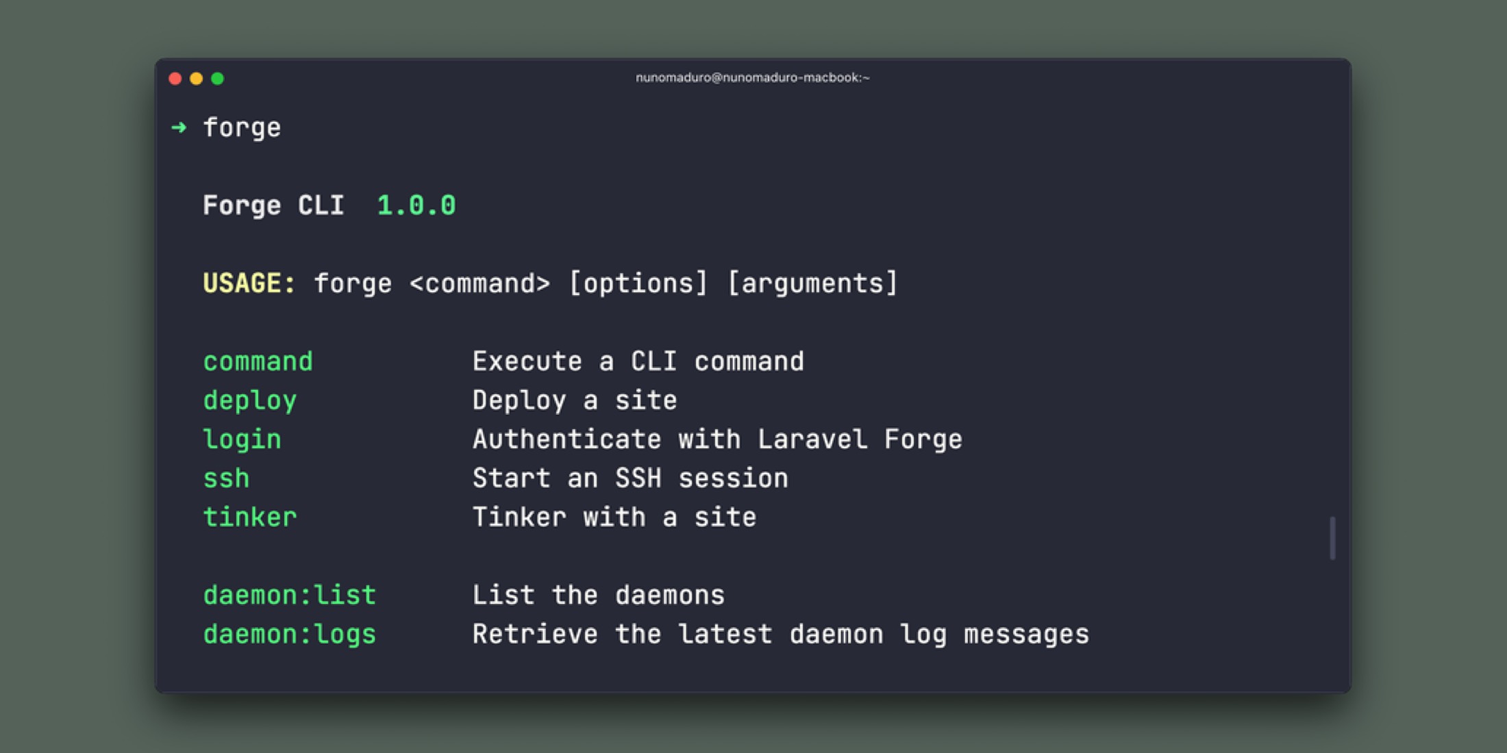 Laravel Forge CLI image